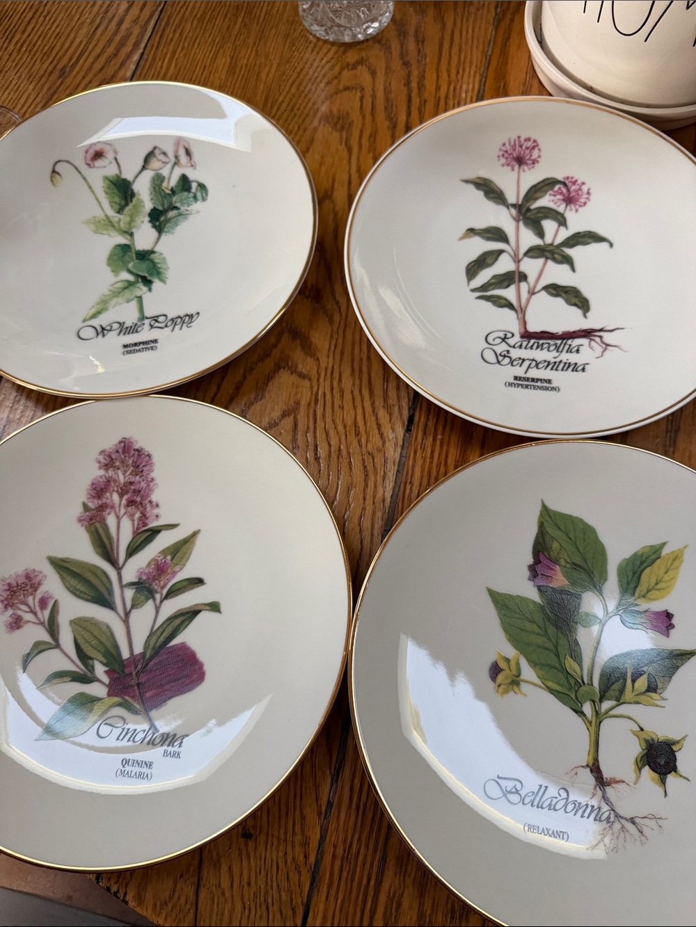 Horchow Collection botanical 4 piece plate set from Japan.  Medicinal/herbal set
